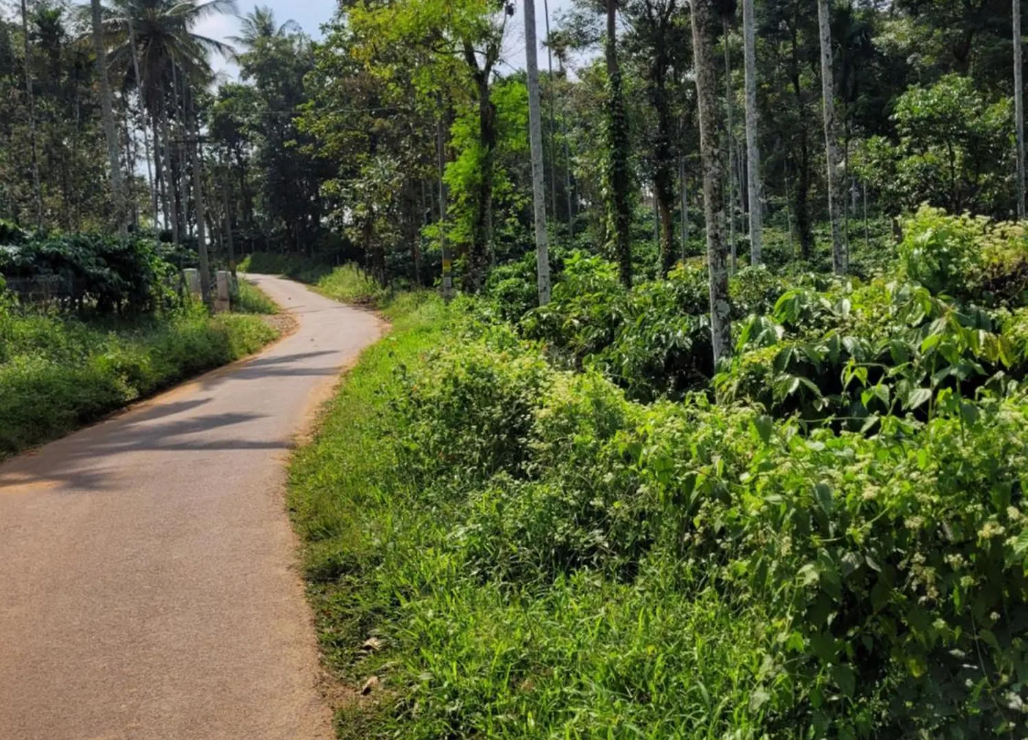 The Forest Temple Kaniyambetta Homestay